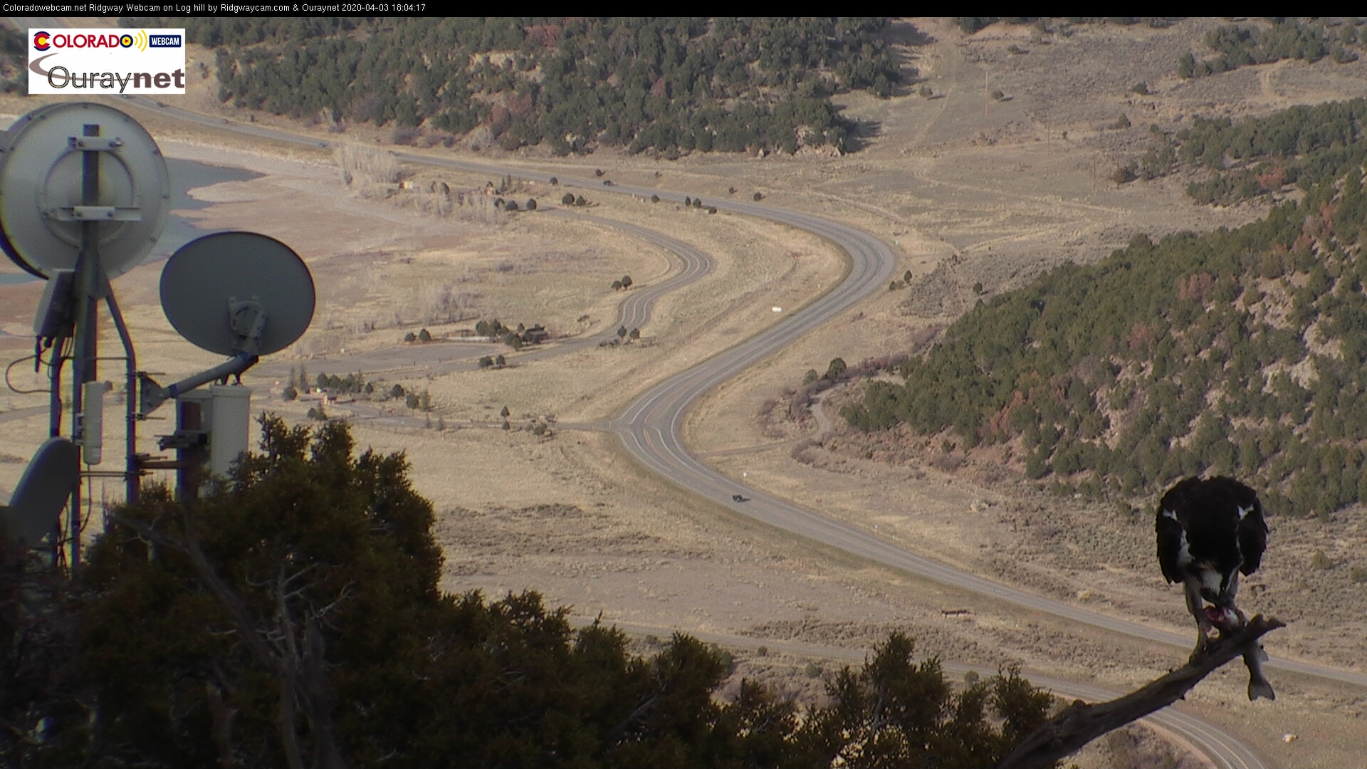 Ridgway Cam PTZ Tour of Ridgway Log Hill Mesa cam ISP